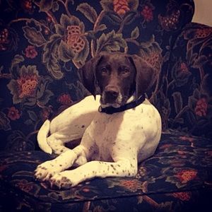 Meet your Posher, Jeremy